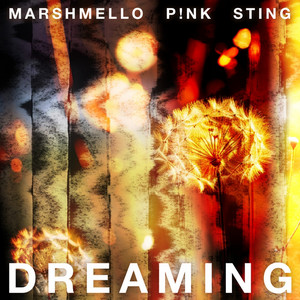 Marshmello Ft Pink & Sting