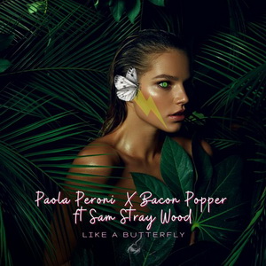 Paola Peroni X Bacon Popper Ft Sam Stray Wood