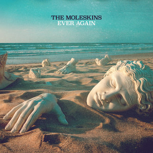 The Moleskins