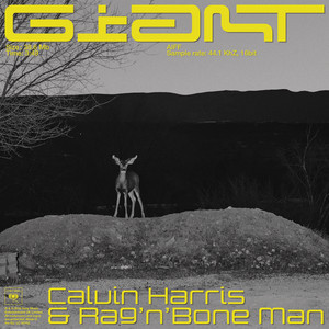 Calvin Harris Ft Rag N Bone Man