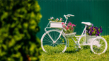 Iskoristite stari bicikl za dekoraciju u bašti
