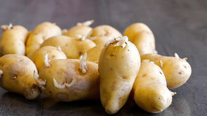Jednostavan trik koji će sprečiti krompir da brzo proklija