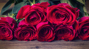 Samo za prave srećnice: Najveći buket ruža na svetu