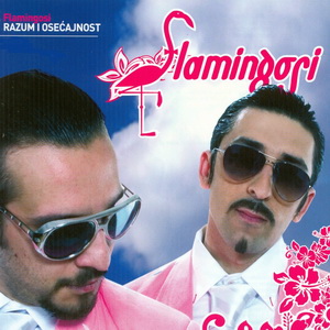 Flamingosi