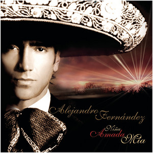 Alejandro Fernandez