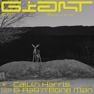 Calvin Harris Ft Rag N Bone Man