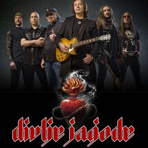 Divlje jagode