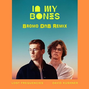 Lost Frequencies Ft David Kushner