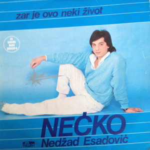 Nedzad Esadovic