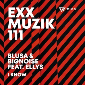 Blusa X BigNoise Ft Ellys