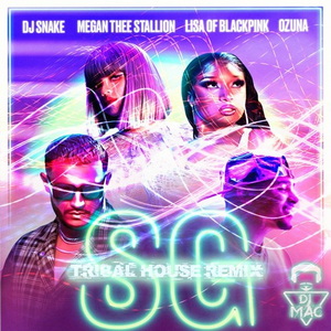 Dj Snake Ft Ozuna And  Megan Thee Stallion