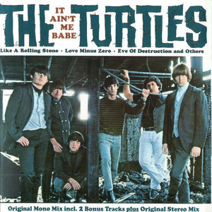 Turtles