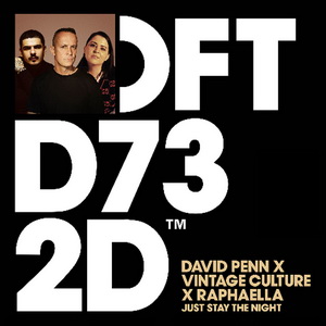 David Penn Ft Vintage Culture & Raphaella