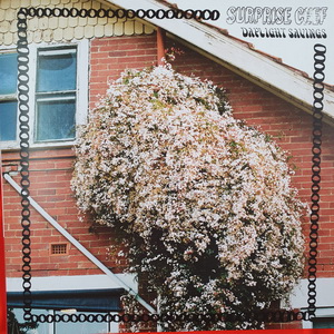 The New Cobras Feat. Renee Geyer