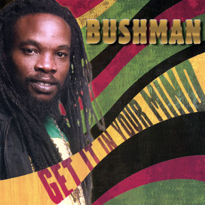 Bushman