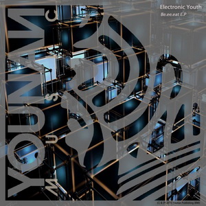 Electronic Youth
