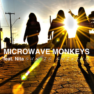 Microwave Monkeys