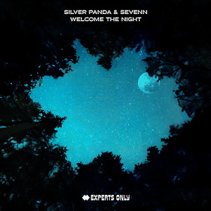 Sevenn X Silver Panda