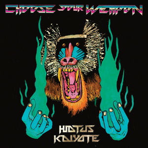 Hiatus Kaiyote
