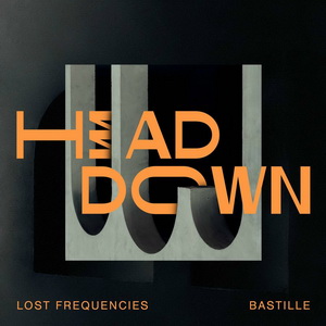 Lost Frequencies Ft Bastille