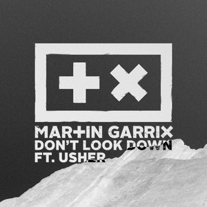 Martin Garrix Feat. Usher
