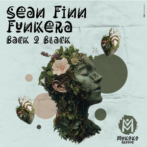 Sean Finn, Funkera