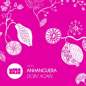 Anhanguera