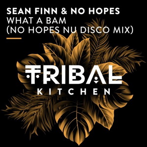 Sean Finn Feat. No Hopes