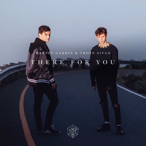 Martin Garrix Ft. Troy Sivan