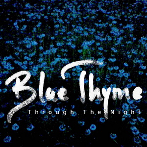Blue Thyme