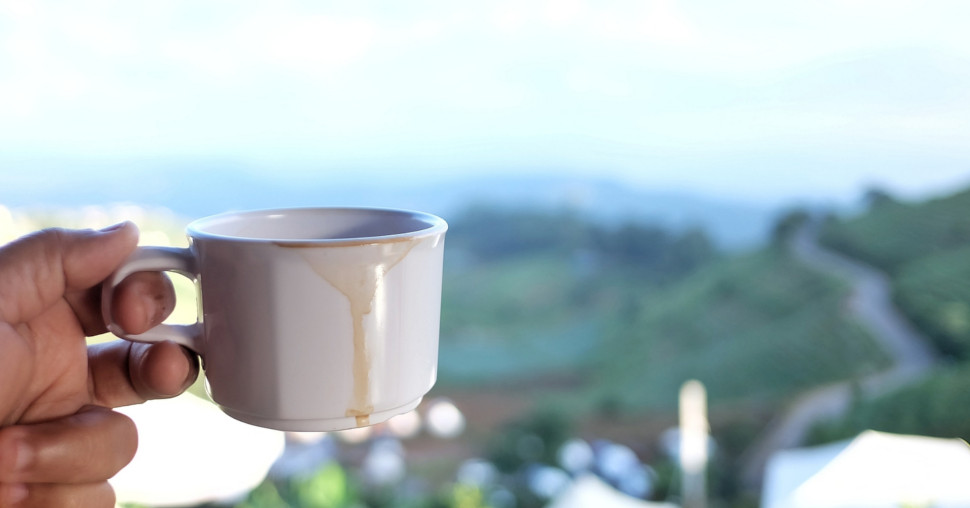 Kako da uklonite mrlje od kafe i čaja sa šolja? Jednostavan kuhinjski trik