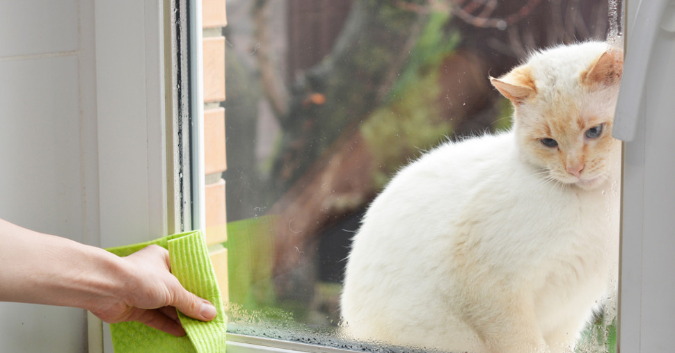 Kako u ovom periodu da sprečimo kondenzaciju na prozorima?