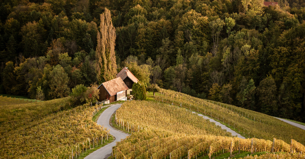 Proglašen najbolji vinski region Evrope za 2027. godinu, a nije ni u Francuskoj ni u Italiji