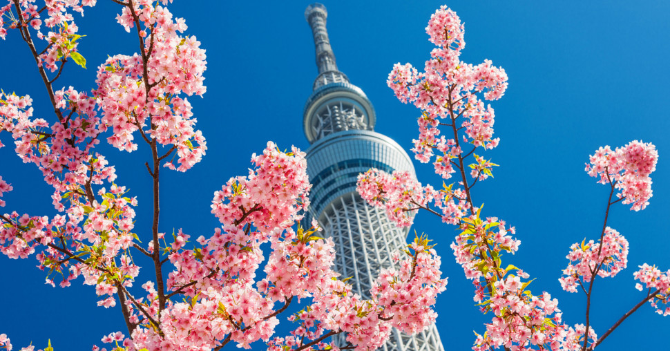 Zvanično: Najzanimljivije mesto na svetu u 2025. godini nalazi se u Japanu