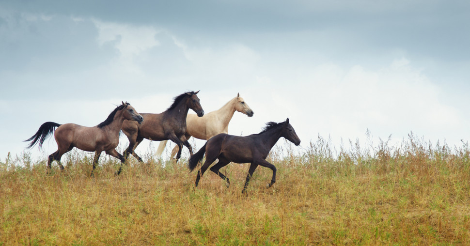 Jedna od najpotcenjenijih destinacija sveta ulaže u širenje nacionalnih parkova i prirodnih oaza