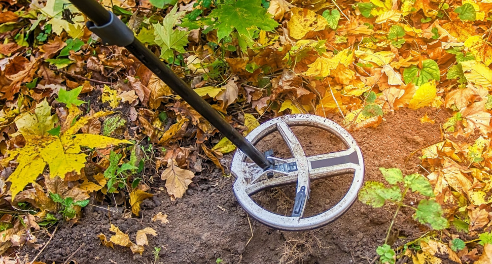 Zlatni bazen: Neočekivano blago u dvorištu u Francuskoj