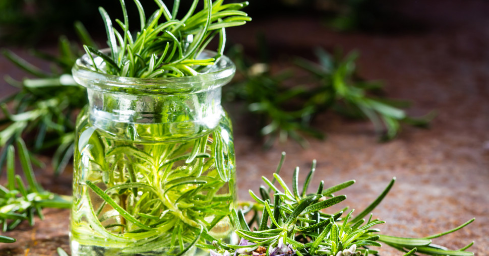 Ruzmarin za zdravlje: Prirodni saveznik protiv upala