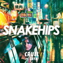 Snakehips Feat. ZAYN