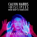 Calvin Harris & Disciples