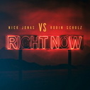 Nick Jonas & Robin Schulz