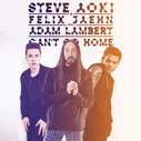 Steve Aoki & Felix Jaehn Feat. Adam Lambert