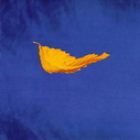 New Order