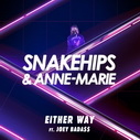 Snakehips Ft Anne Marie