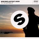 Bob Sinclar & Akon