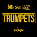 Sak Noel & Salvi Feat. Sean Paul