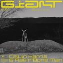 Calvin Harris Ft Rag N Bone Man