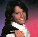 Andy Gibb 