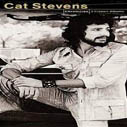 Catt Stewens 