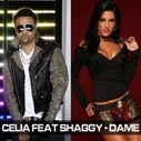 Celia ft.Shaggy 