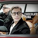 Chocolate Puma 
